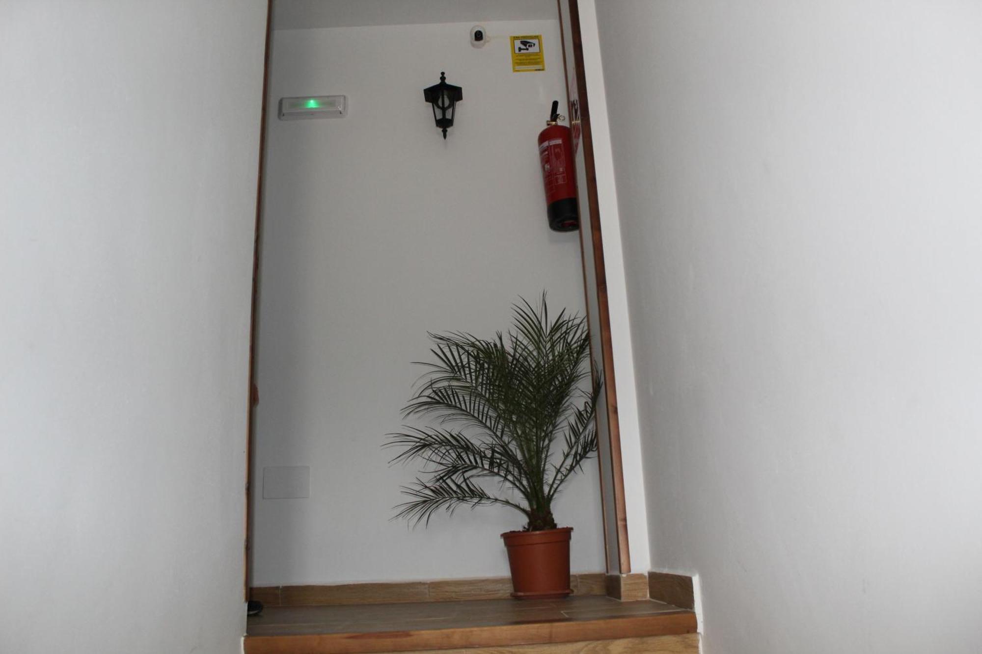 Ninfa De La Sierra Apartman Riópar Kültér fotó